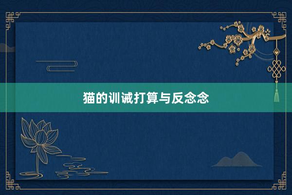猫的训诫打算与反念念