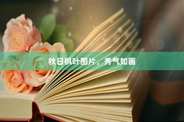 秋日枫叶图片，秀气如画