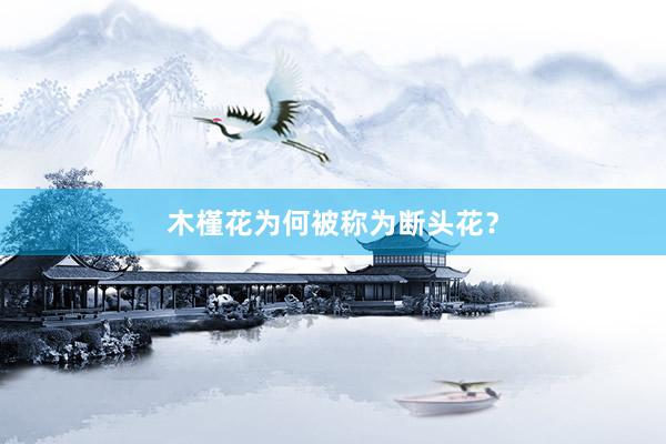 木槿花为何被称为断头花？
